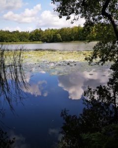 Am Stadtsee