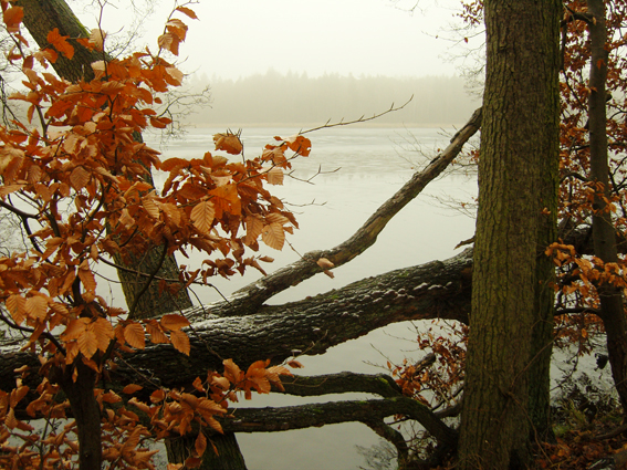 Stadtsee