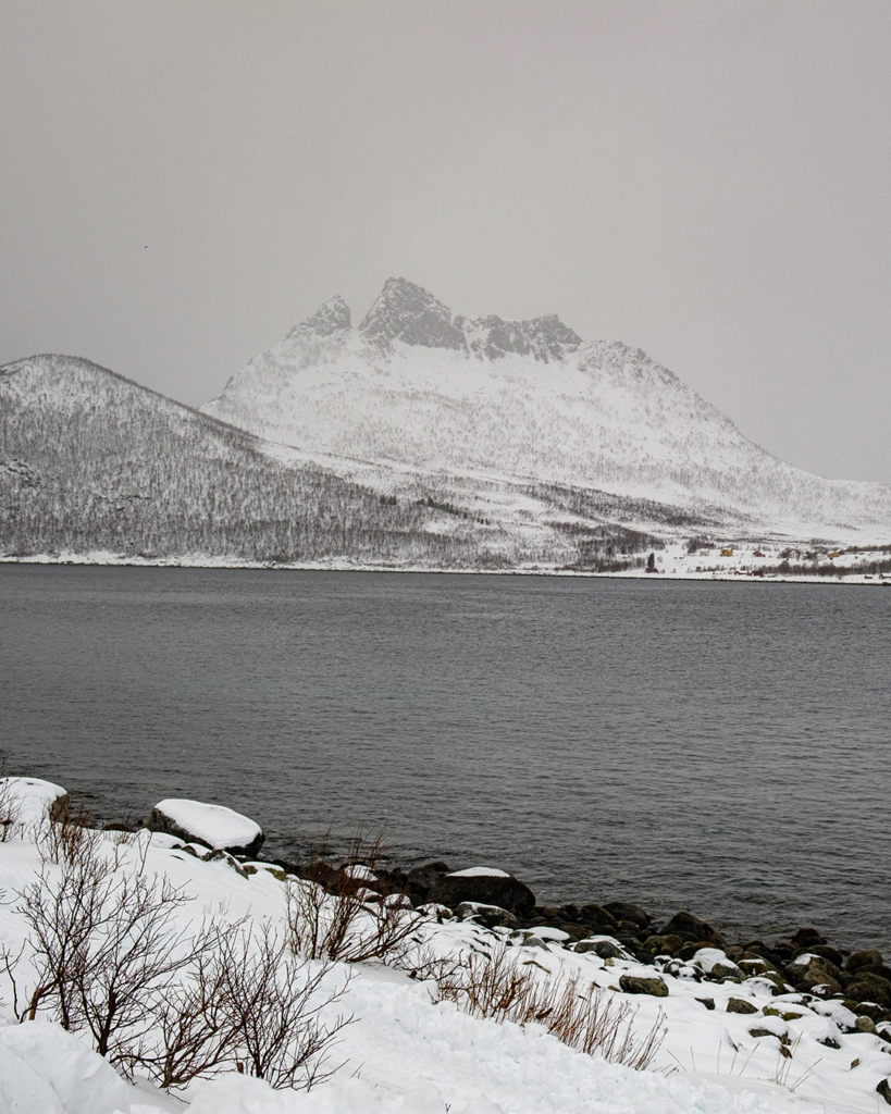 Blick über den Fjord