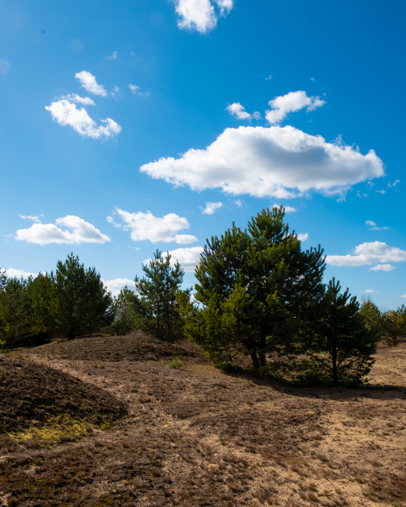 schöner Weg